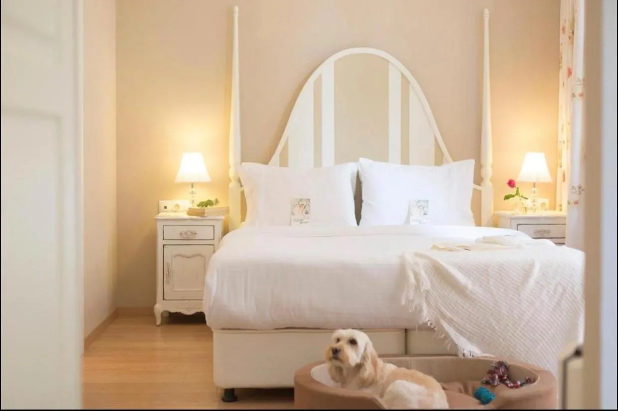 Zagora Open Apartment Thessaloniki